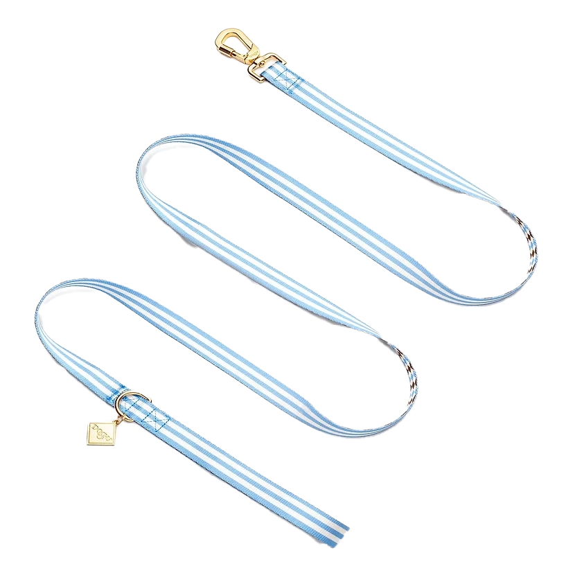 Blue Diamond Edition – Pet Leash, Collar & Harness