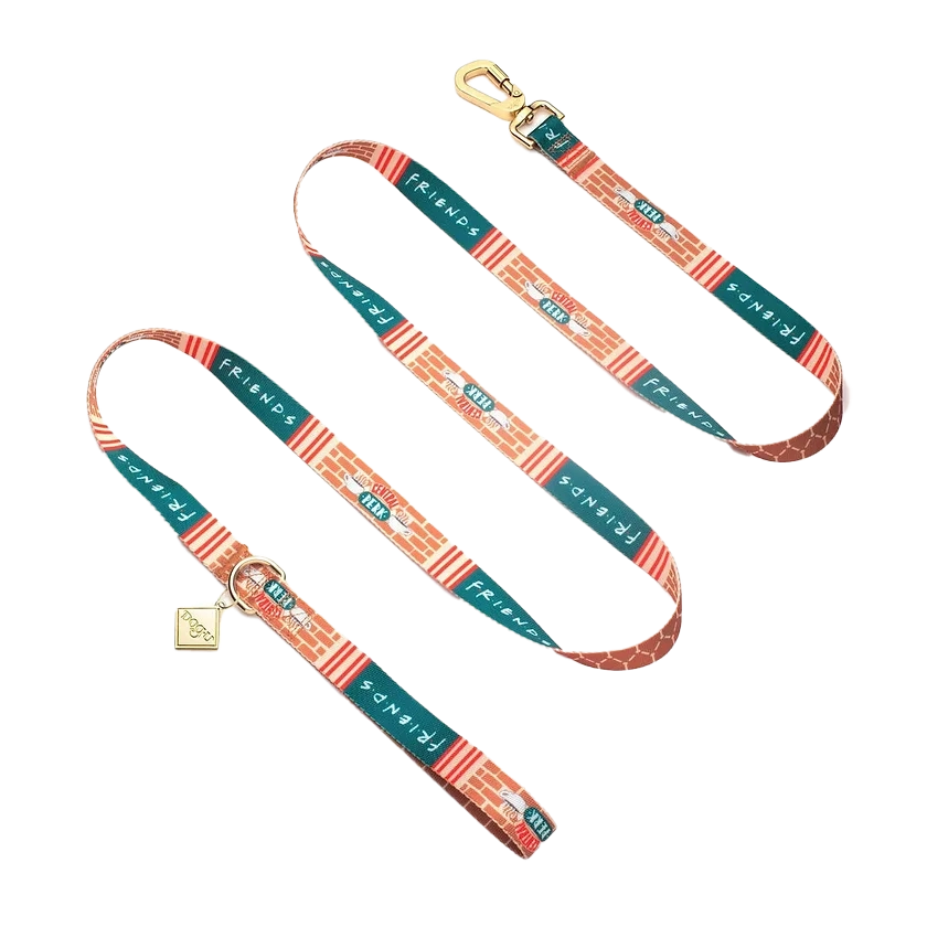 Friends Edition Dog Leash – Colorful & Durable