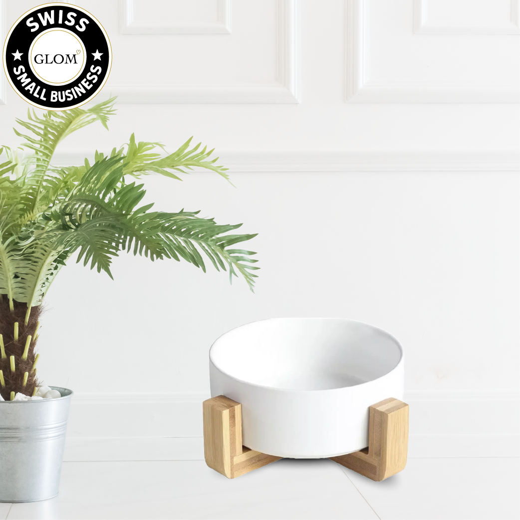 Modern Ceramic Dog Bowl with Wood Stand