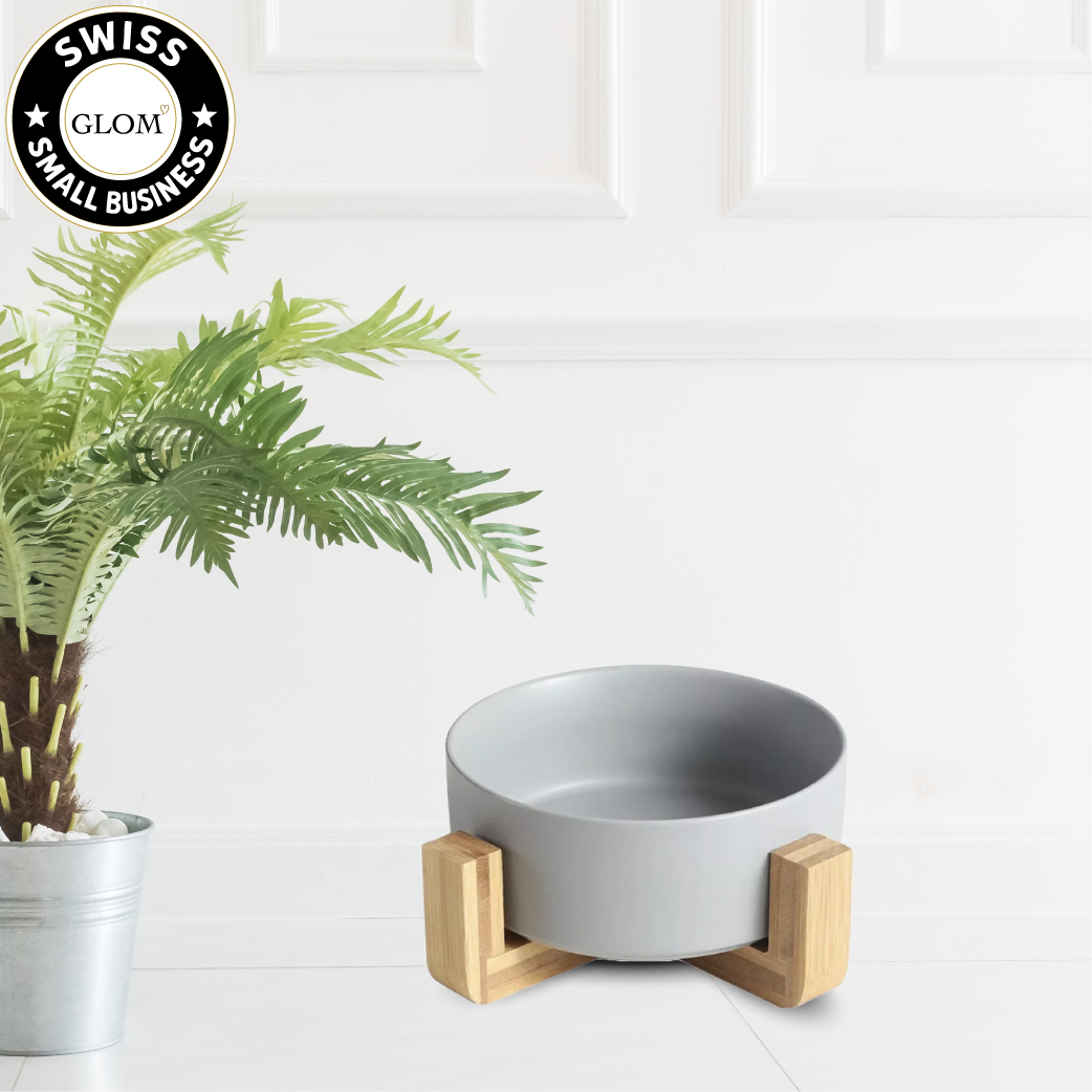 Modern Ceramic Dog Bowl with Wood Stand