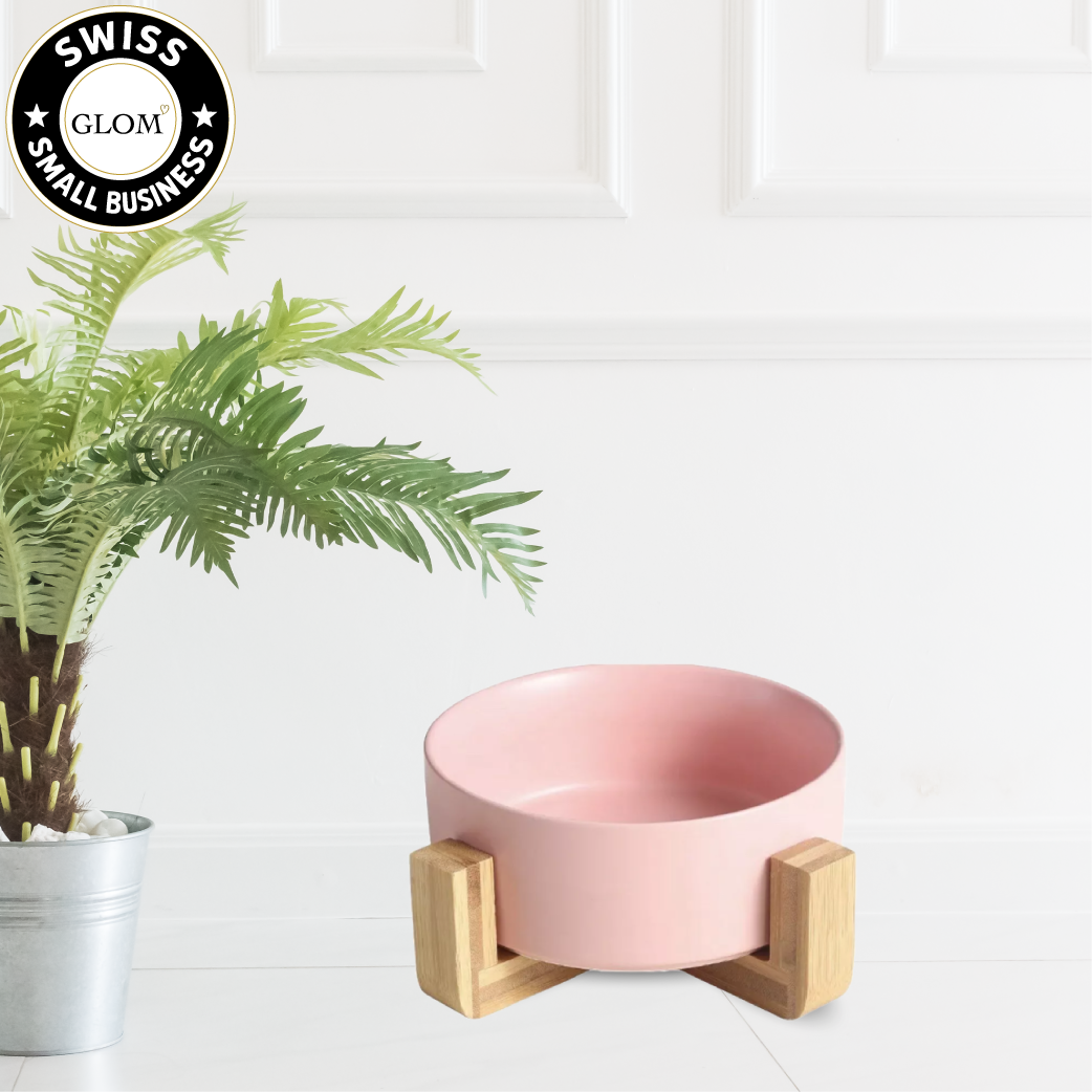 Modern Ceramic Dog Bowl with Wood Stand