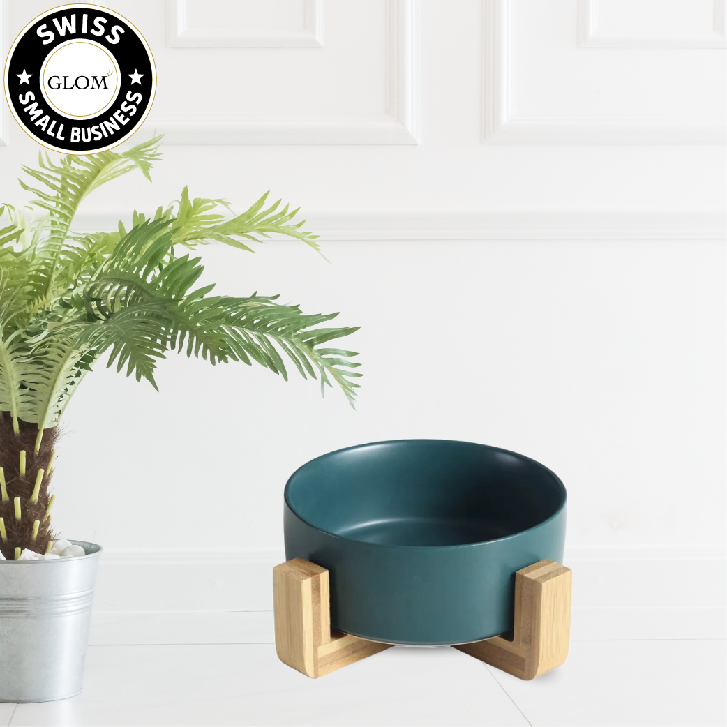 Modern Ceramic Dog Bowl with Wood Stand