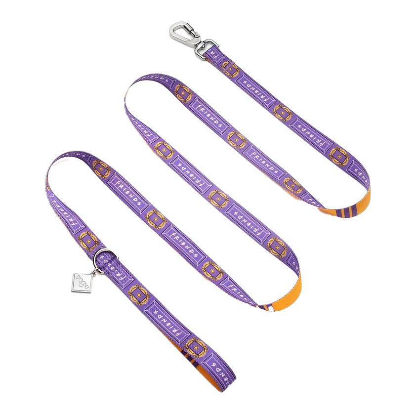 Friends Edition Dog Leash – Colorful & Durable