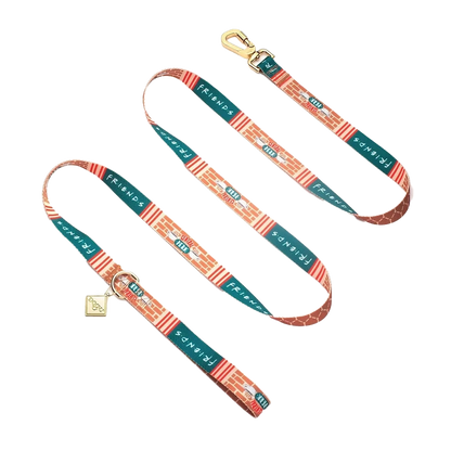 Friends Edition Dog Leash – Colorful & Durable