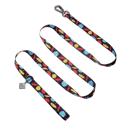 Friends Edition Dog Leash – Colorful & Durable