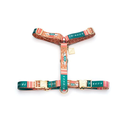 Friends Edition Pet Harness – Adjustable & Comfortable