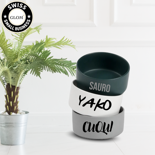 Modern Ceramic Dog Bowl with Wood Stand