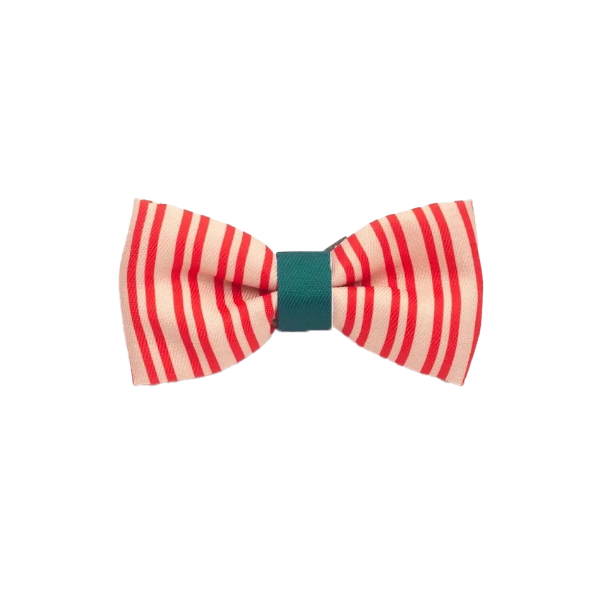 Friends & Looney Tunes Bow Tie – For Cats & Dogs