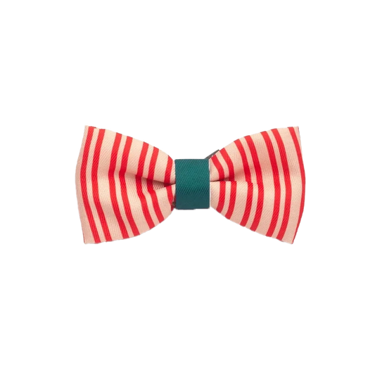 Friends & Looney Tunes Bow Tie – For Cats & Dogs