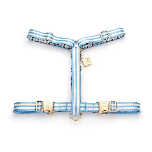 Blue Diamond Edition – Pet Leash, Collar & Harness